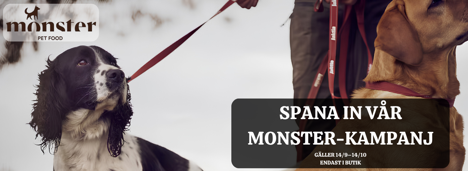 Monster kampanj